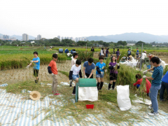 4. Students started eco-farming in the Long Valley fresh water wetland