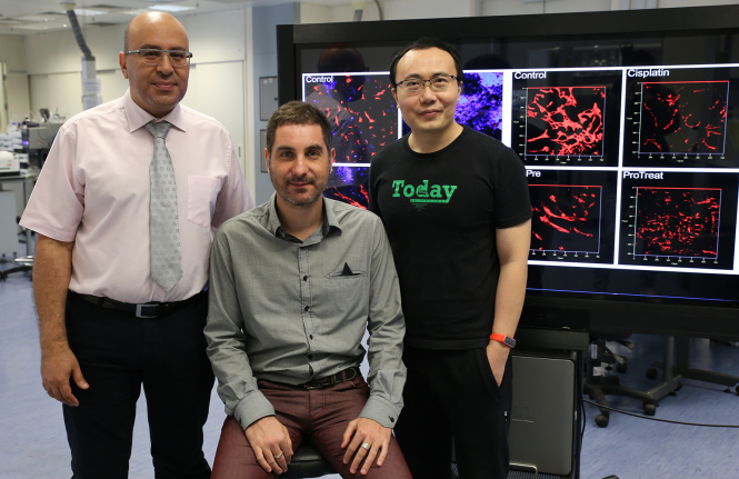 Research team members: (from left) Dr Hani El-Nezami, Dr Gianni Panagiotou and Dr Li Jun