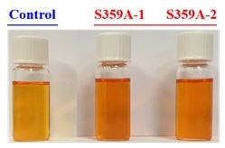 Figure 1 Carotenoid extracts from S359A tomato fruits (right) show a deeper color and contain more carotenoids (provitamin A and lycopene) than the control (left). S359A-1 and S359A-2 represent two independent S359A tomato lines that give consistent results.