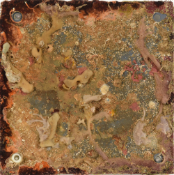 A single plate from one ARMS structure measures ~25 X 25 cm. High resolution photographs like this one allow for visual identification of attached organisms including sponges, encrusting algae, tube worms, ascidians, and more. Scientists will look at not just who is there but also how their abundance changes around Hong Kong.