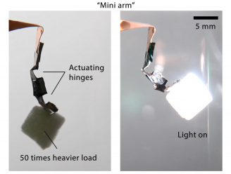 Figure 2 A mini arm with two actuating hinges lifting a weight 50 time heavier than itself under light.