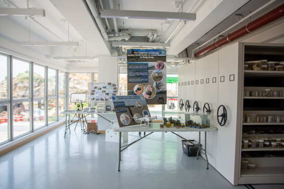 Image 8: Biodiversity Centre - As part of the new structure, the centre will be a multipurpose space for public outreach and community engagement, a classroom for visiting school groups, and a library which houses the SWIMS museum specimen collection. The specimen collection mostly collected from Hong Kong, which will continue to be used for research purposes.
 