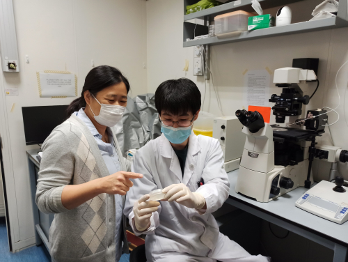 Associate Professor Dr Karen Wing Yee YUEN (on the left) and Postdoctoral Fellow Dr Zhongyang LIN from The School of Biological Sciences at HKU.
 