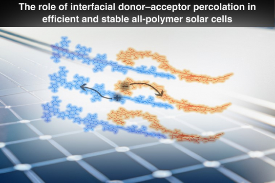 Discovering the mechanism for efficient electron-hole separation and morphology stabilisation in state-of-the-art organic photovoltaic materials