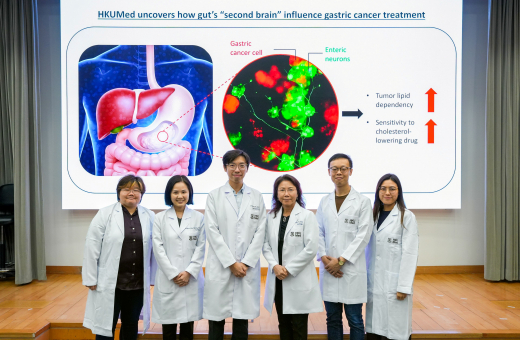 HKUMed cracks gastric cancer’s ‘metabolic code’:  Tumour growth slowed by 65%, plus a 6.3-fold kill rate with cholesterol inhibitors in neuron-infiltrated cases