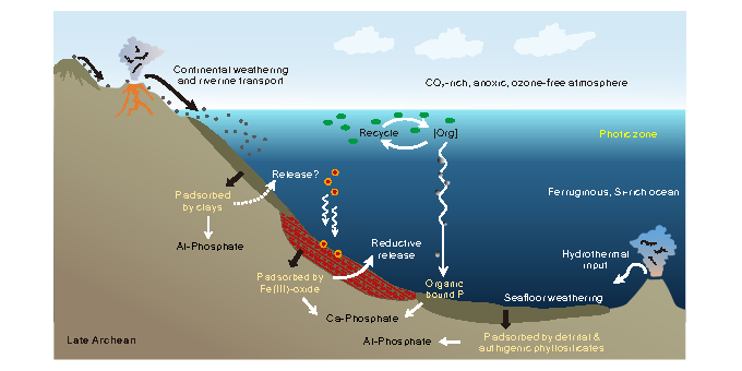 A schematic diagram of the phosphorus cycle model for the early Earth (late Archean), illustrating continental weathering and riverine transport, and the burial process in ferruginous oceans, emphasising the previously underestimated crucial role of phyllosilicate minerals. Image credit: X. Cui et al. (2026). Nature Communications.