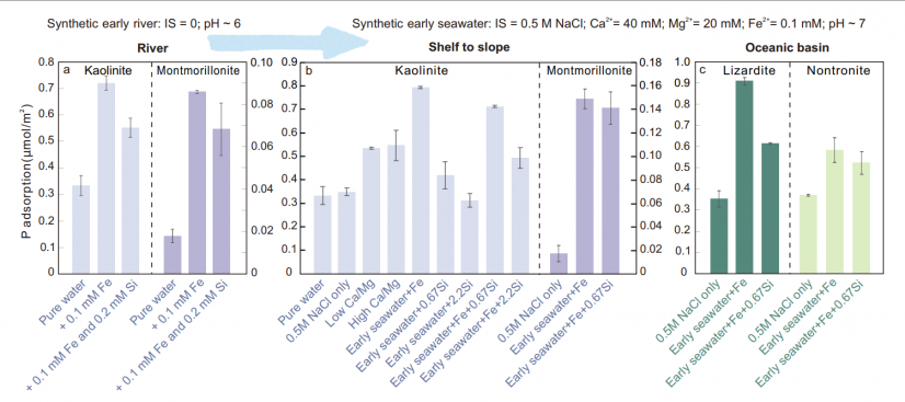 Experimental results showing adsorption of dissolved orthophosphate onto common detrital and authigenic phyllosilicate minerals in simulated early aquatic environments. Image credit: X. Cui et al. (2026). Nature Communications.