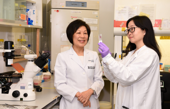 Professor Irene Ng Oi-lin (left) remarks that their next step is to validate relevant biomarkers in larger patient cohorts and to collaborate with clinicians to design clinical trials that combine Resmetirom with immunotherapy and targeted therapy, ultimately establishing a prevention-oriented treatment approach for high-risk patients.