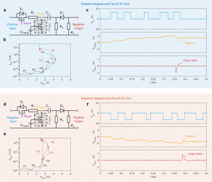 Figure 4: NDR-based integrate-and-fire neurons with positive and negative types