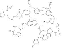 A schematic structure of organic matter in the Universe. This typical structure is a mixture of ring-like (aromatic) and chain-like (aliphatic) chemical sites and contains about 100 carbon atoms.